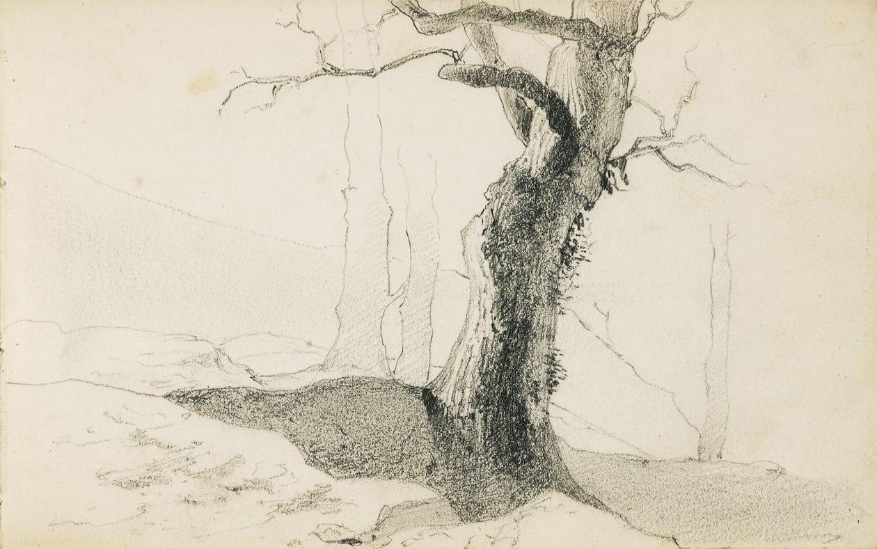 A "The Basque Country", 1862-63 című albumból merítve alkotó: Odilon Redon