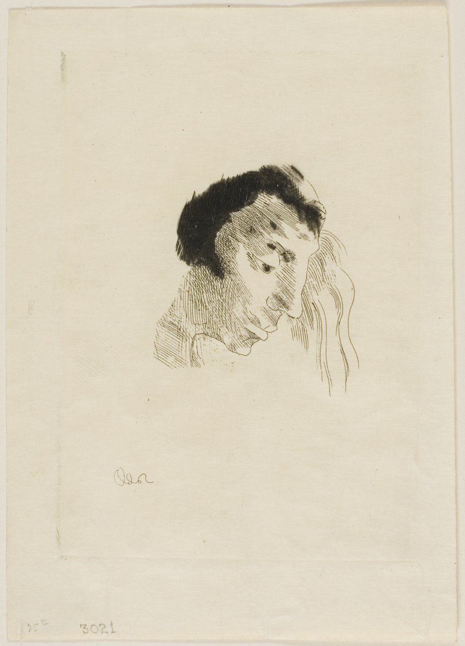 A könyvekből alkotó: Odilon Redon