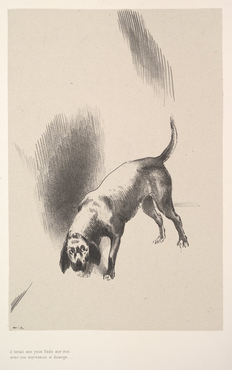Olyan furcsa arckifejezéssel szegezte rám a tekintetét, 1896. alkotó: Odilon Redon