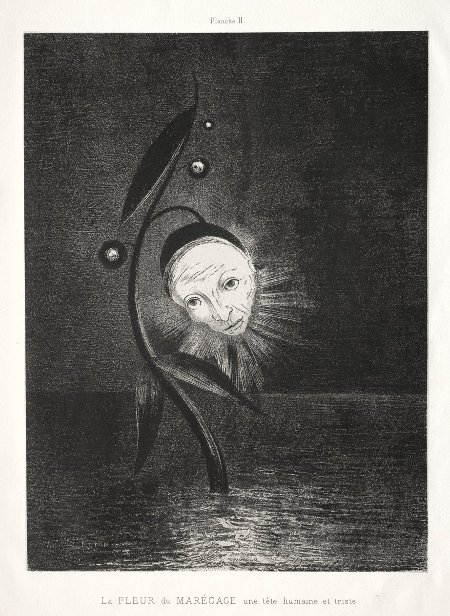 Homage to Goya: A mocsári virág, egy szomorú emberfej, 1885. alkotó: Odilon Redon