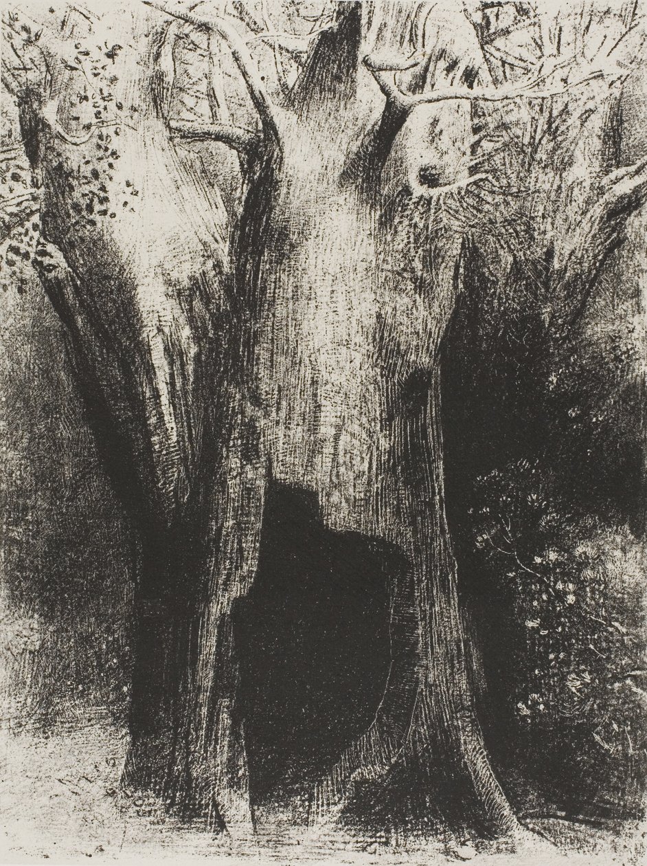 Elmerültem a magányban. Mögöttem a fán laktam, 24/9. tábla alkotó: Odilon Redon