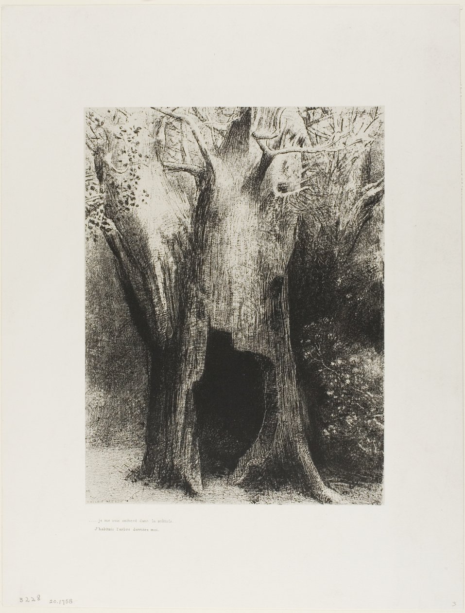 Elmerültem a magányban. Mögöttem a fán laktam, 24/9. tábla alkotó: Odilon Redon