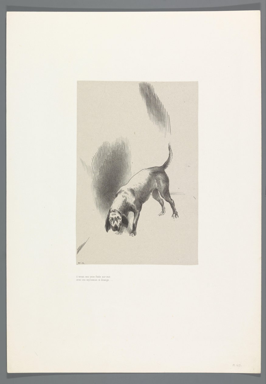 Olyan furcsa arckifejezéssel bámult rám The High House, 6 litho