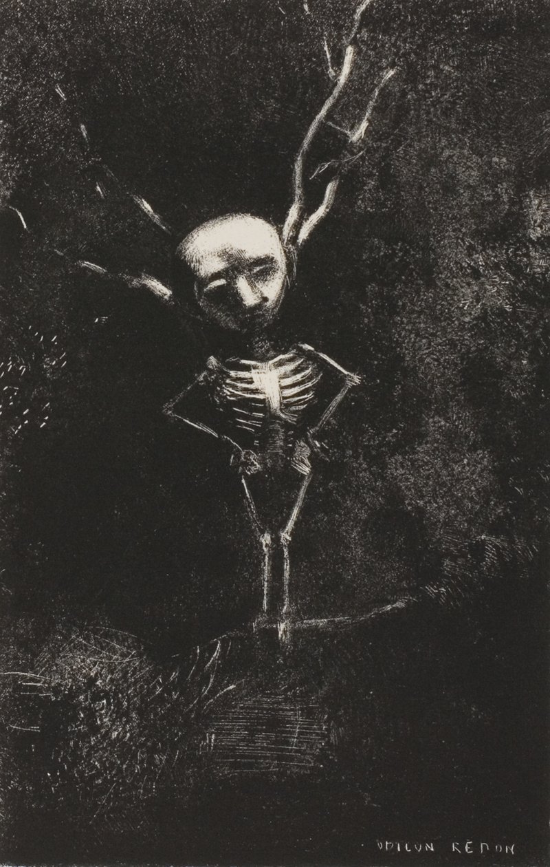 Az ágak labirintusában megjelent a sápadt alak, 7/2. tábla alkotó: Odilon Redon