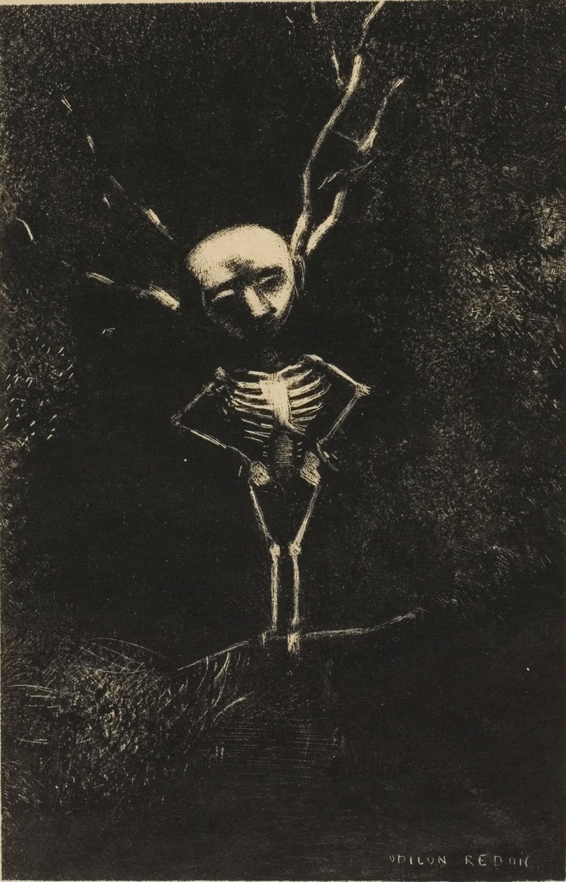 Az ágak labirintusában megjelent a sápadt alak, 7/2. tábla alkotó: Odilon Redon