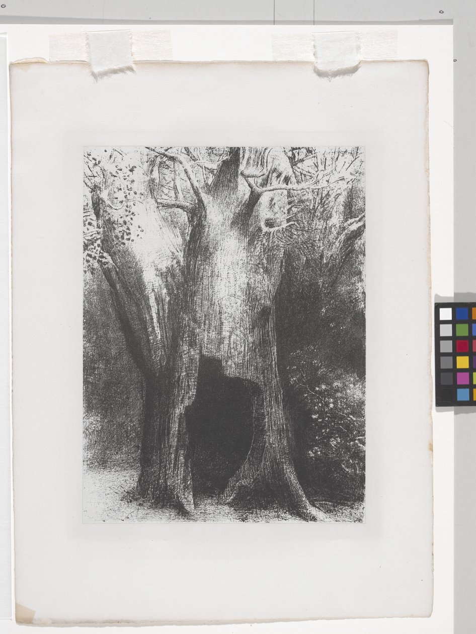 Elsüllyedtem a magányba (litográfia kínai rátétpapíron) alkotó: Odilon Redon