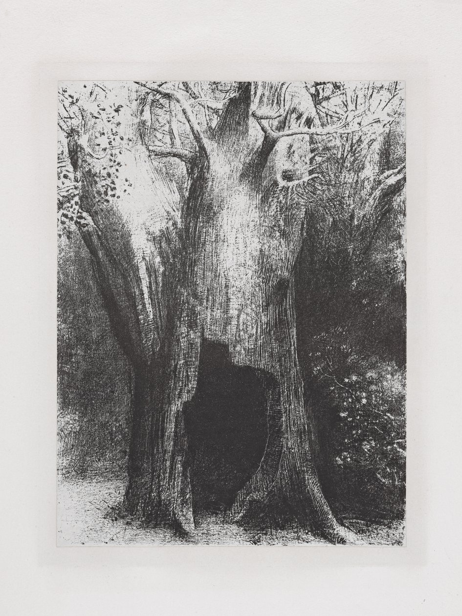 Elmerültem a magányban alkotó: Odilon Redon