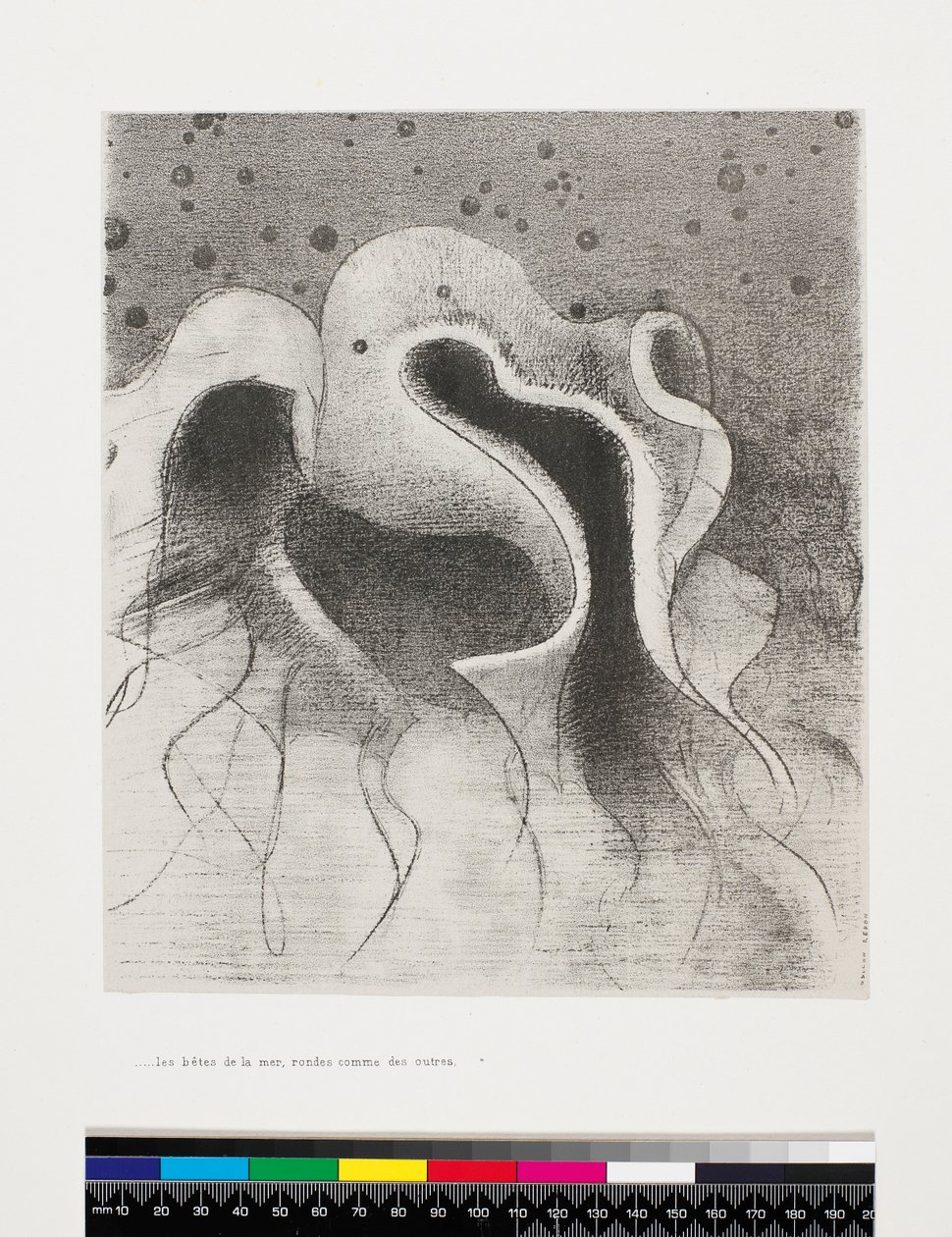 A tenger állatai úgy kerekek, mint a borosbőrök, 1896 alkotó: Odilon Redon