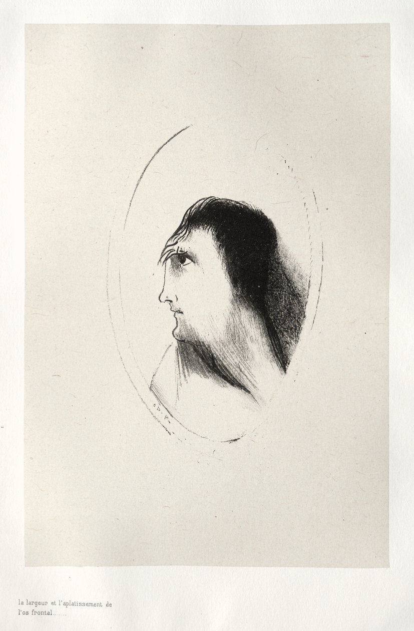 The Breadth and Flatness of the Frontal Bone   1306784   hu       hungarian Successfully Translated  Original: David Slaying Goliath Translat: David Slaying Goliath 1243843 hu hungarian Successfully Translated Original: Lion, Bull, Fox, Wolf, Dog, Boar, Go alkotó: Odilon Redon