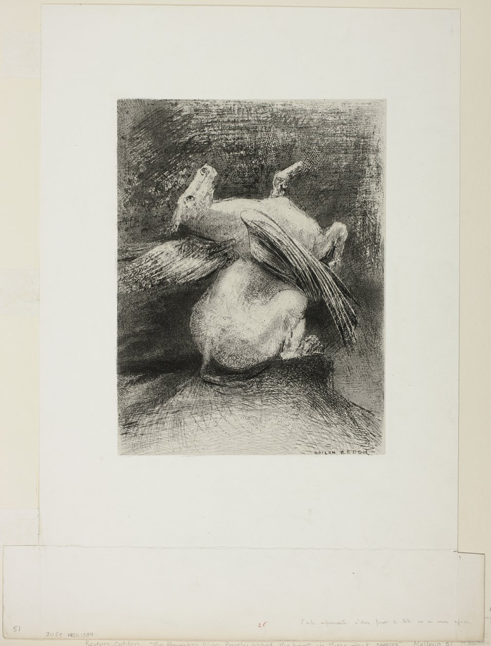 Az impotens szárny nem emelte be az állatot abba a fekete térbe, 7/8. tábla a "Les Origines"-ből alkotó: Odilon Redon