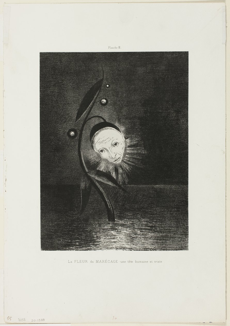 A mocsári virág, egy szomorú emberi fej, 6/2. tábla alkotó: Odilon Redon