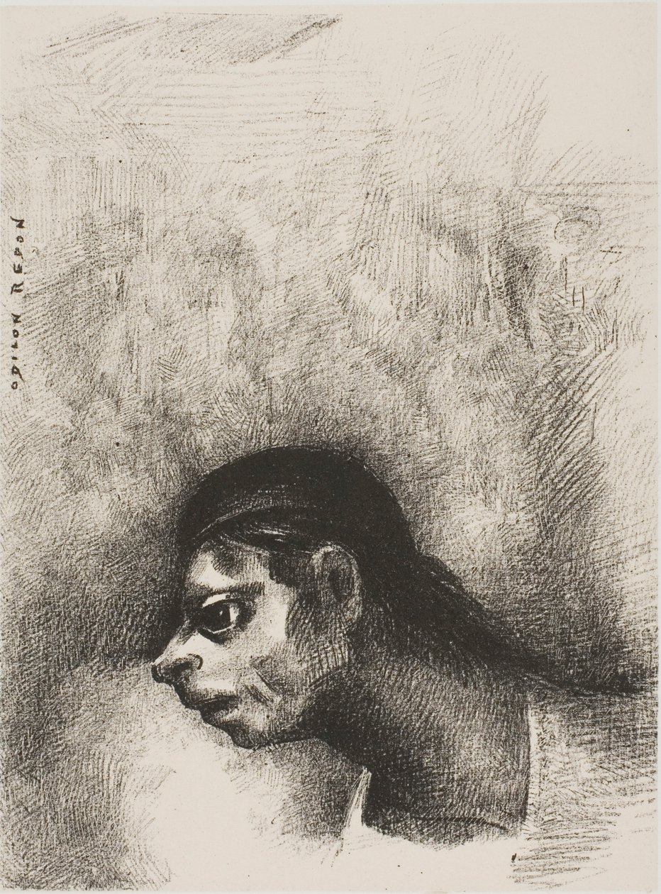 A fal repedésén keresztül egy halálfej vetült ki, az esküdtből alkotó: Odilon Redon