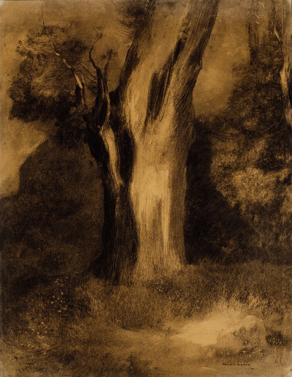 Fa alkotó: Odilon Redon