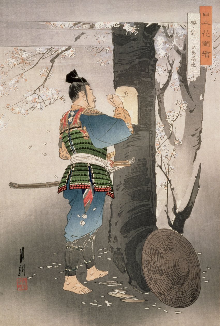 Kojima Takanori verset ír egy cseresznyefára a „Japán virágai” sorozatból, 1895 (fatömbnyomat) alkotó: Ogata Gekko