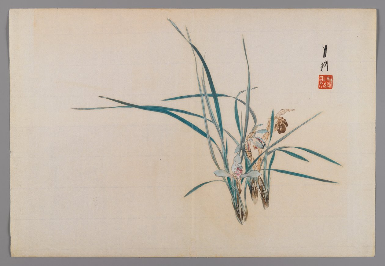 Orchideák, albumoldal egy madár és virág (Kacho) könyvből, 1890-1900 körül (fatömb színes nyomat ezüst pigmenttel) alkotó: Ogata Gekko