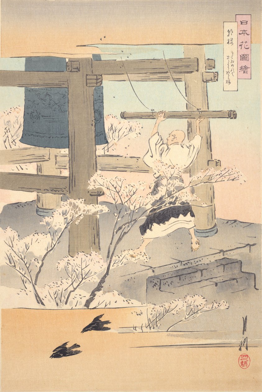 Harangozó szerzetes: japán virágok képei alkotó: Ogata Gekko