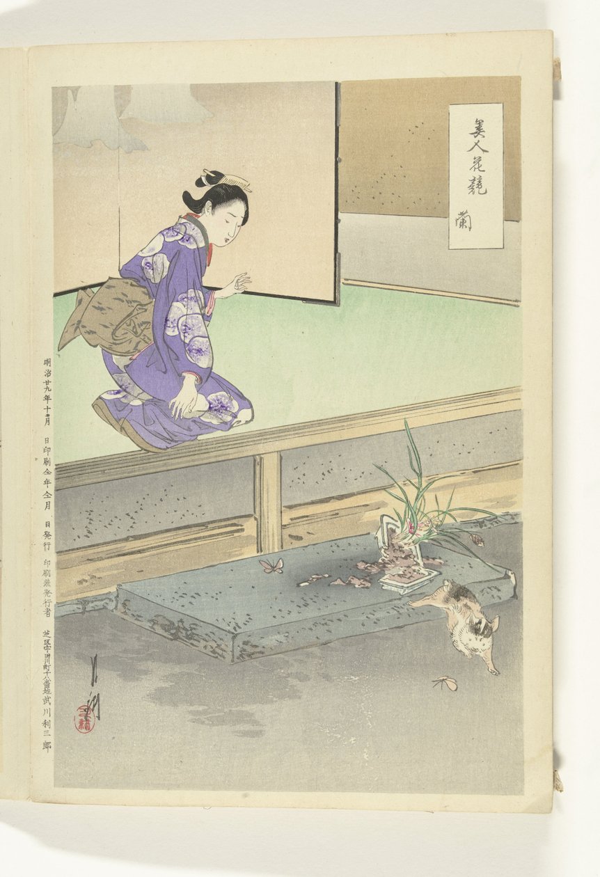 Orchidea Futott (cím az objektumon) A szépségek és a virágok összehasonlítása (sorozat címe) Bijin hana kurabe (sorozat címe az objektumon) alkotó: Ogata Gekko