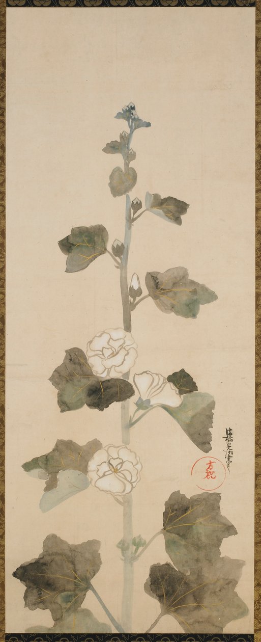 Fehér hollyhocks, Edo-korszak, 17. század vége-18. század eleje. alkotó: Ogata Korin
