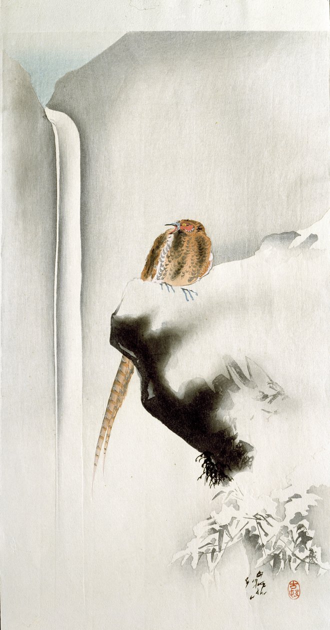 Fácán egy sziklaszirten, a háttérben vízesés, 1907 (színes fametszet) alkotó: Ohara Koson