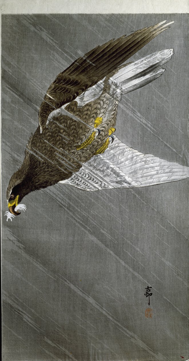A prédájáért búvárkodó sas, 1910 alkotó: Ohara Koson