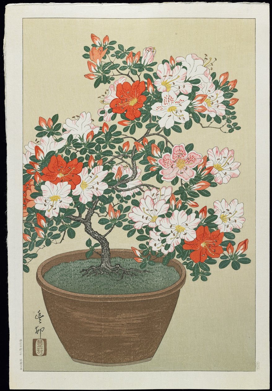 Azálea cserépben, 1930-as évek alkotó: Ohara Koson