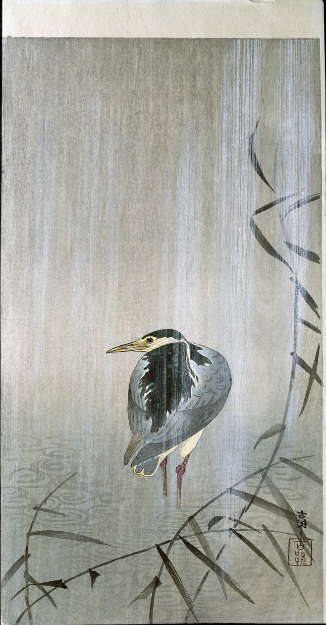 Madár az esőben, 1907 alkotó: Ohara Koson