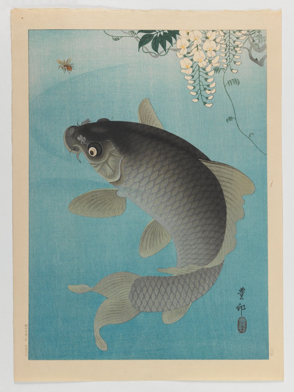 Carp Beneath Wisteria, 1935 körül (fatömb színes nyomat) alkotó: Ohara Koson