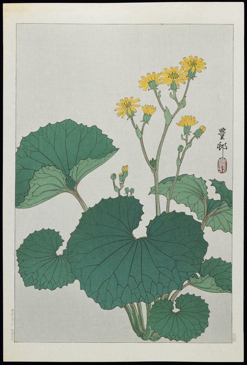 Japán ezüst levelek virágai, 1930-as évek alkotó: Ohara Koson