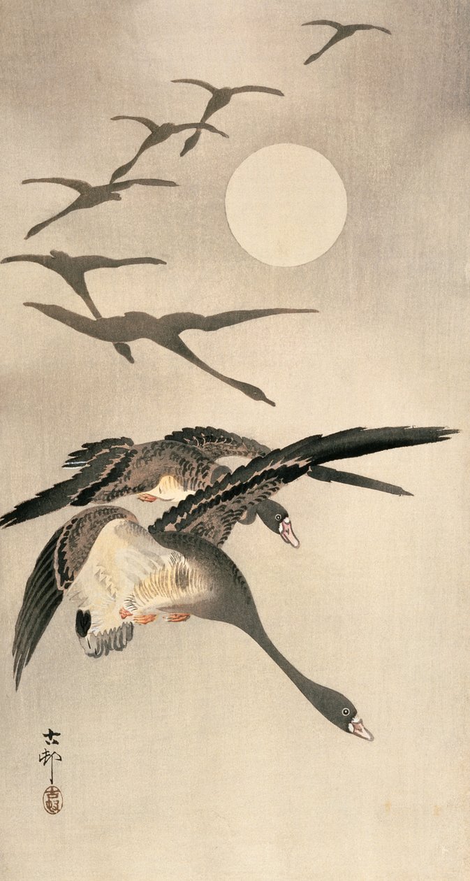 Repülő ludak és telihold, 1900-as évek eleje (színes fametszet) alkotó: Ohara Koson