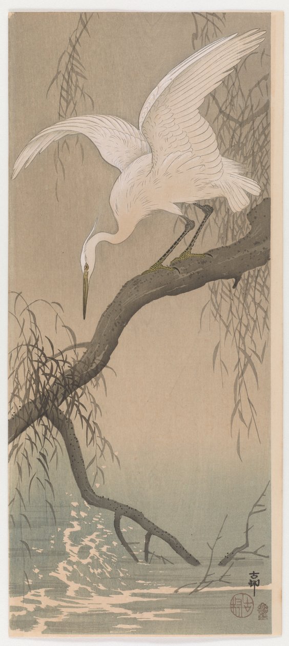 Kis kócsag, 1910 körül (színes fatömbnyomat) alkotó: Ohara Koson