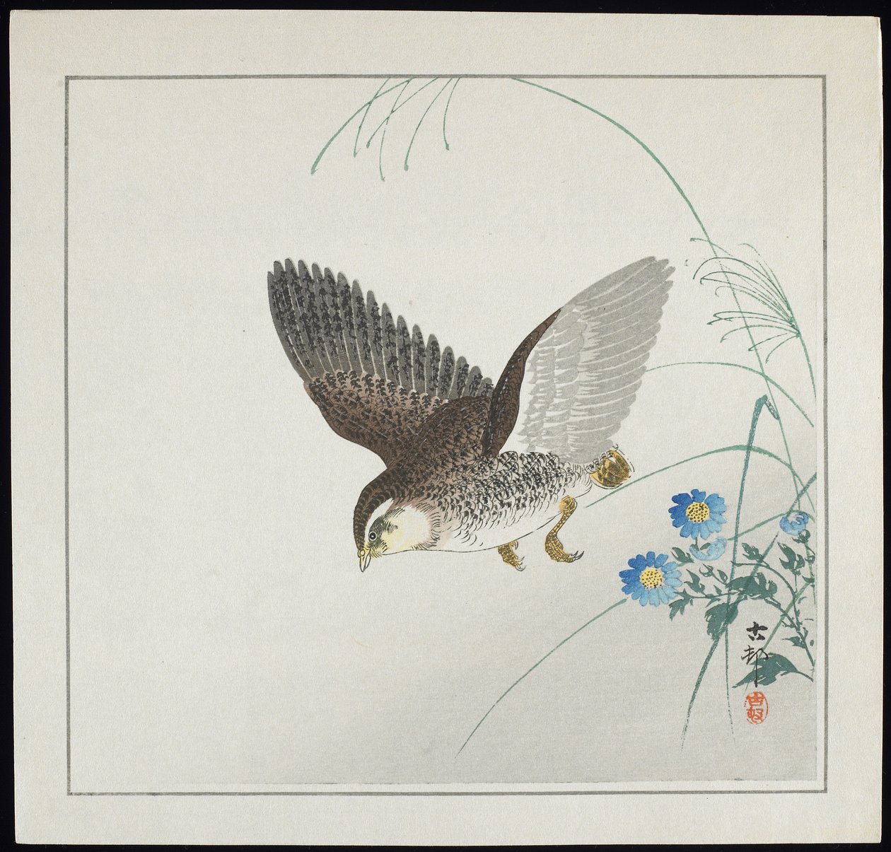 Fürj repülésben, 1912 előtt alkotó: Ohara Koson