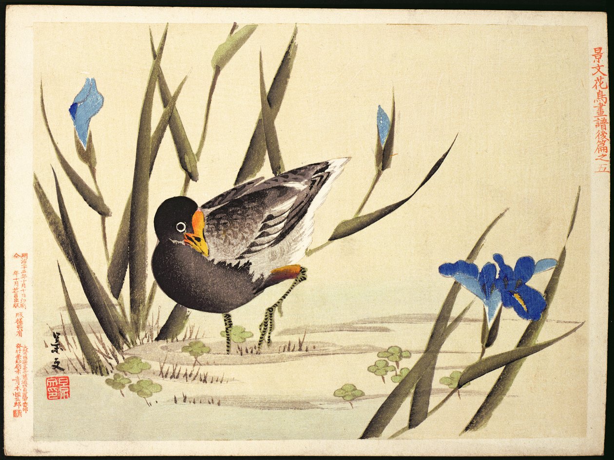 Gazdagoló sikló között, (színes fatömbnyomat) alkotó: Ohara Koson