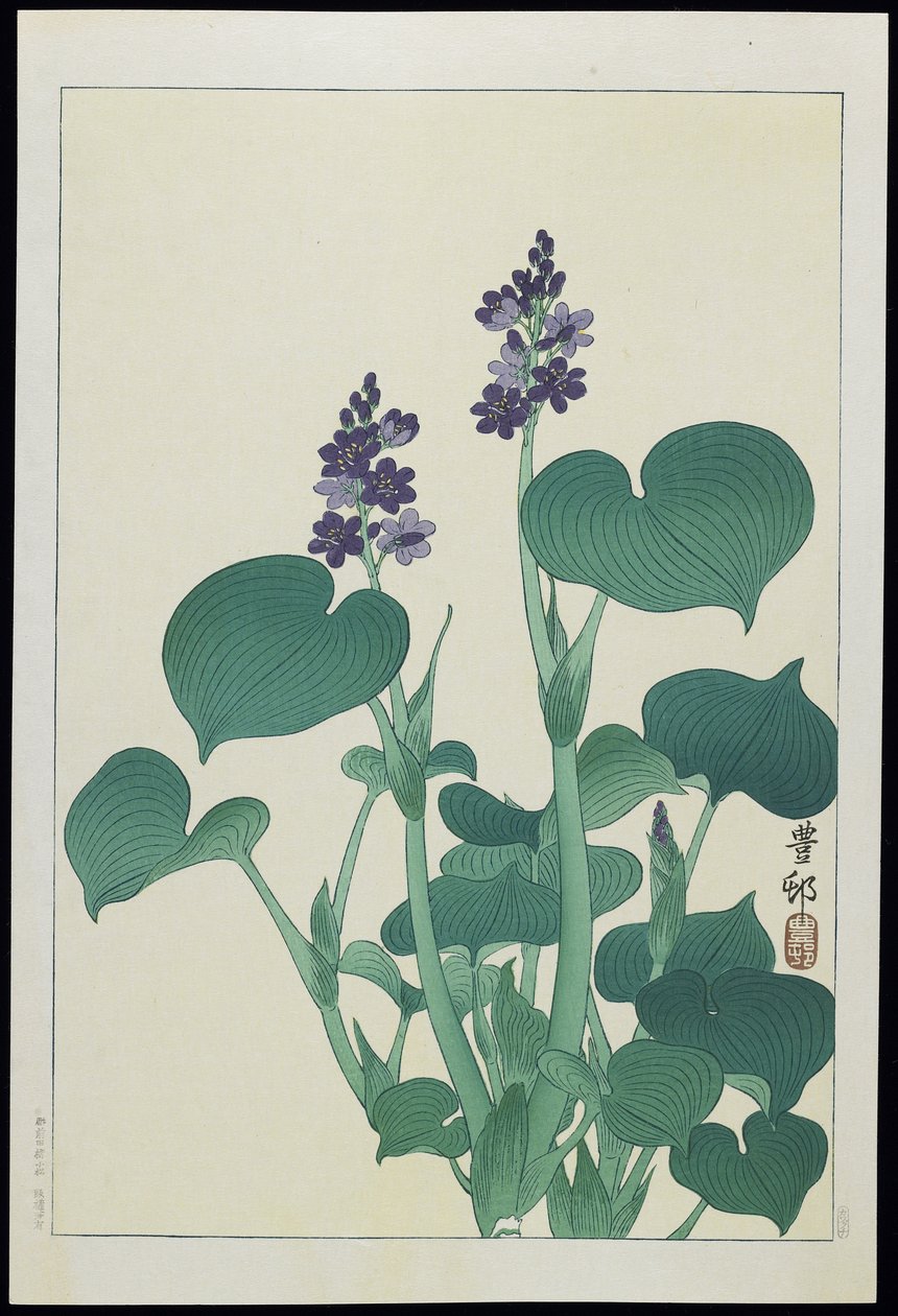 Vízi Hollyhock, 1930-as évek alkotó: Ohara Koson