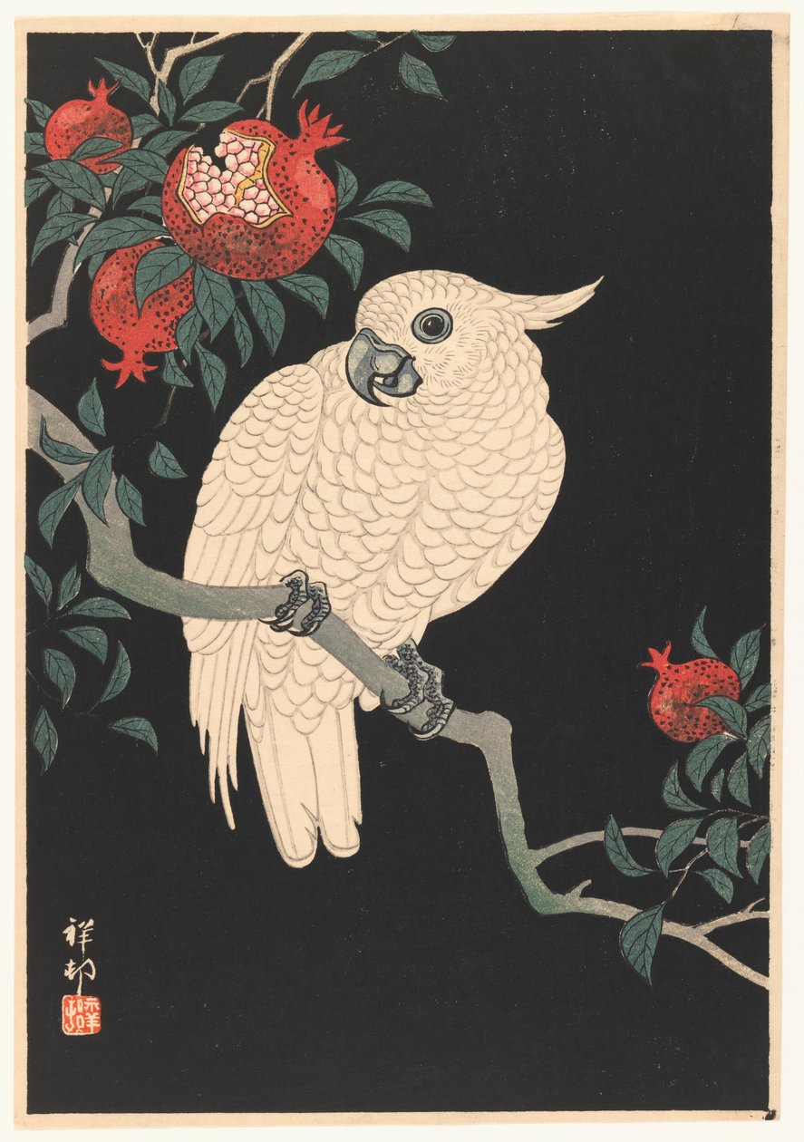Fehér papagáj és gránátalma, 1927-1989 (fanyomat) alkotó: Ohara Koson