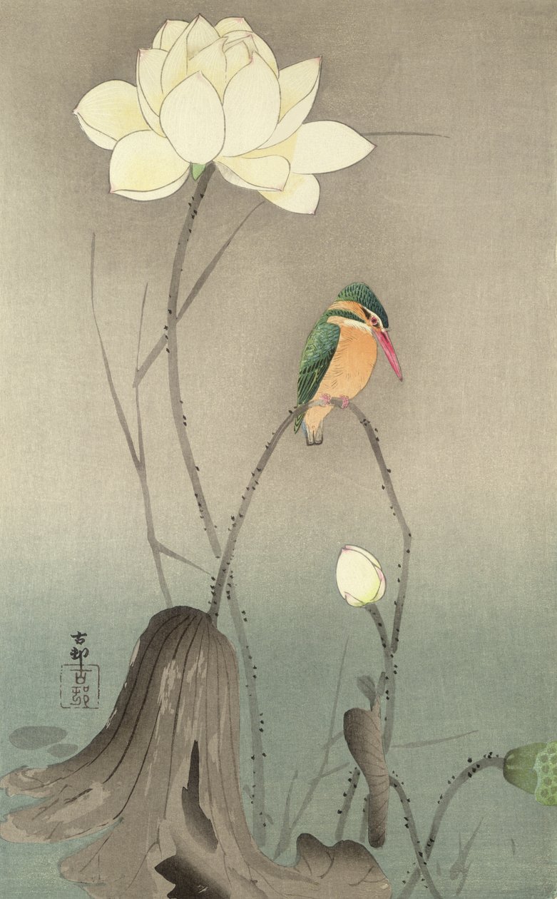 Egy jégmadár és egy lótusz, 1910 körül, alkotó: Ohara Koson