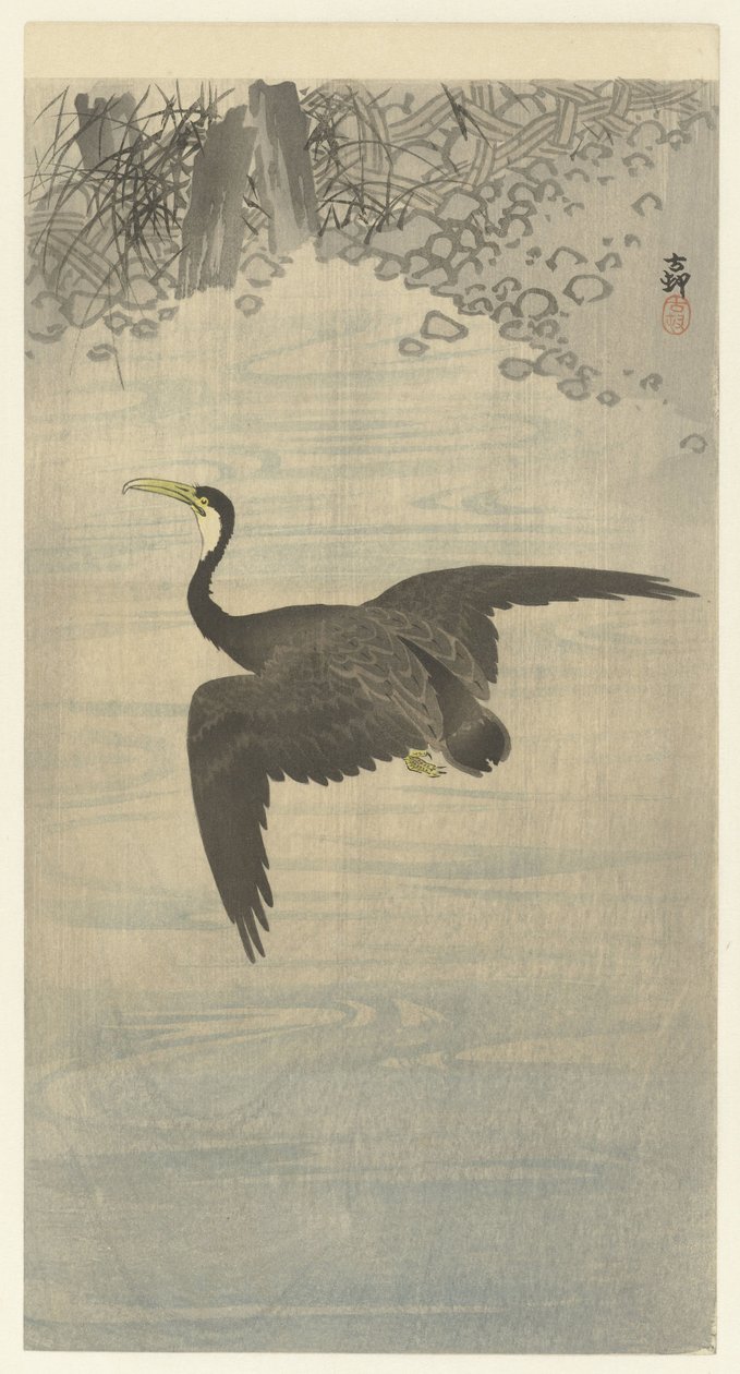 Kormorán repülés közben alkotó: Ohara Koson