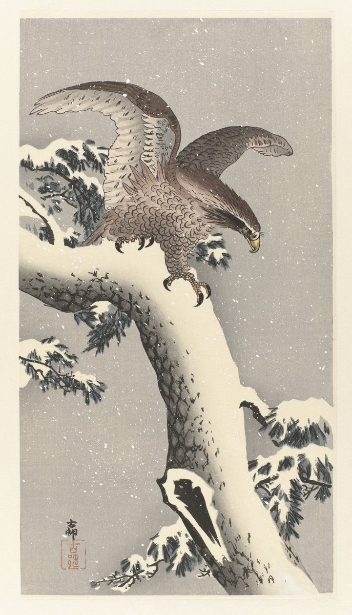 Sas a havas fenyőfán alkotó: Ohara Koson