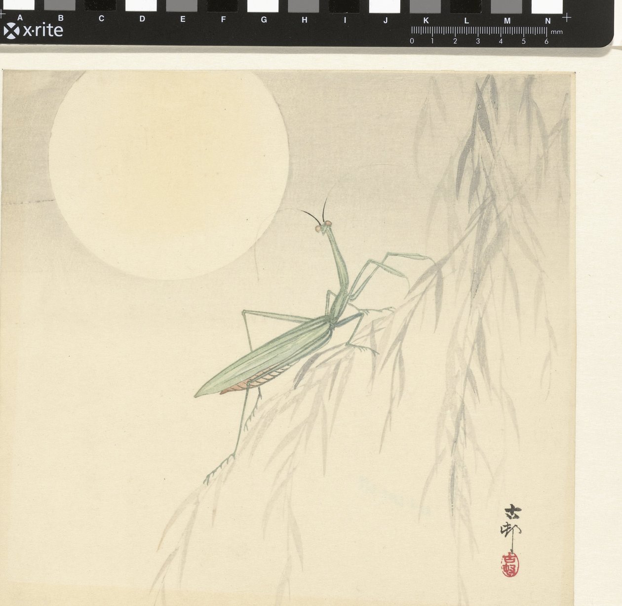Imádkozó sáska alkotó: Ohara Koson