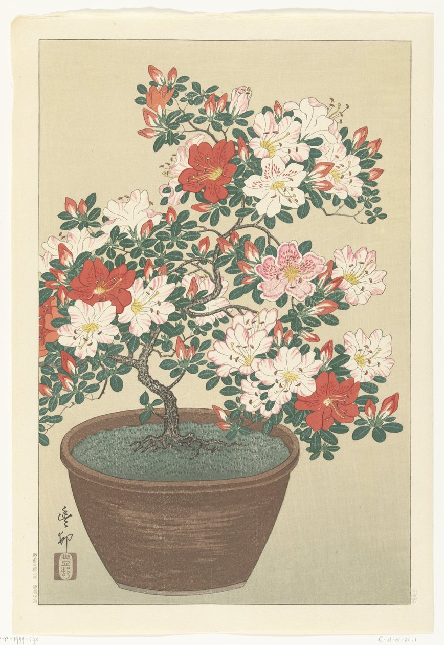 Virágzó azálea barna cserépben alkotó: Ohara Koson
