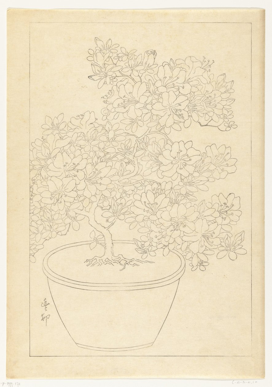 Virágzó azálea cserépben alkotó: Ohara Koson