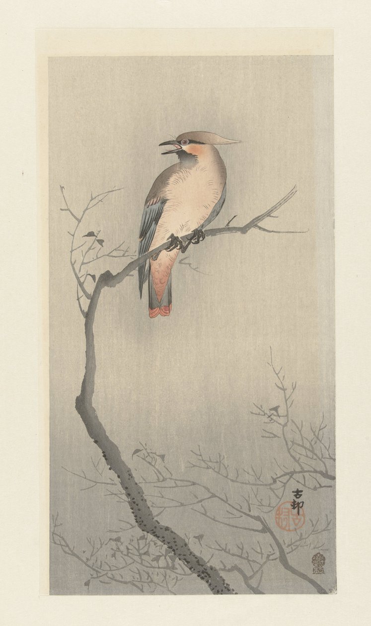 Bohém viaszszárny egy ágon alkotó: Ohara Koson