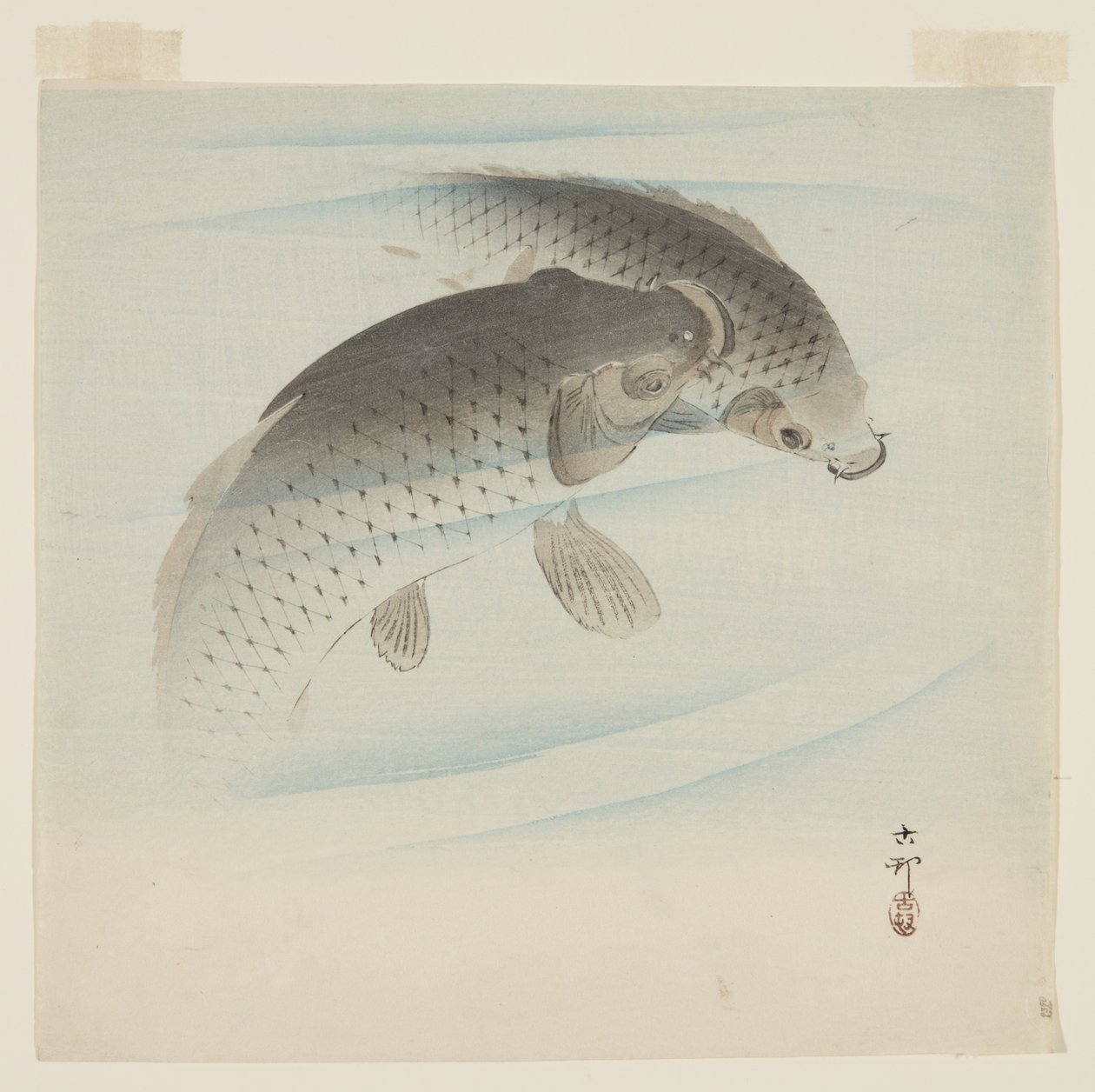 Ponty (Koi) (színes fanyomat) alkotó: Ohara Koson