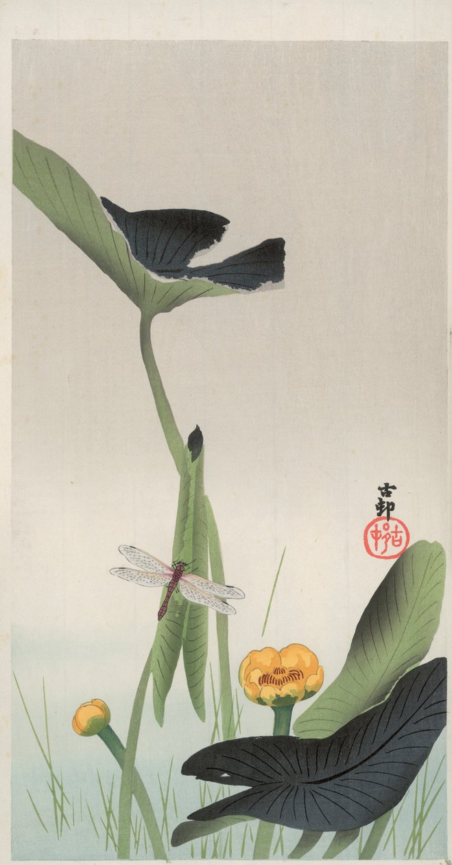 Dragonfly and Lotus (színes fatömb nyomat) alkotó: Ohara Koson