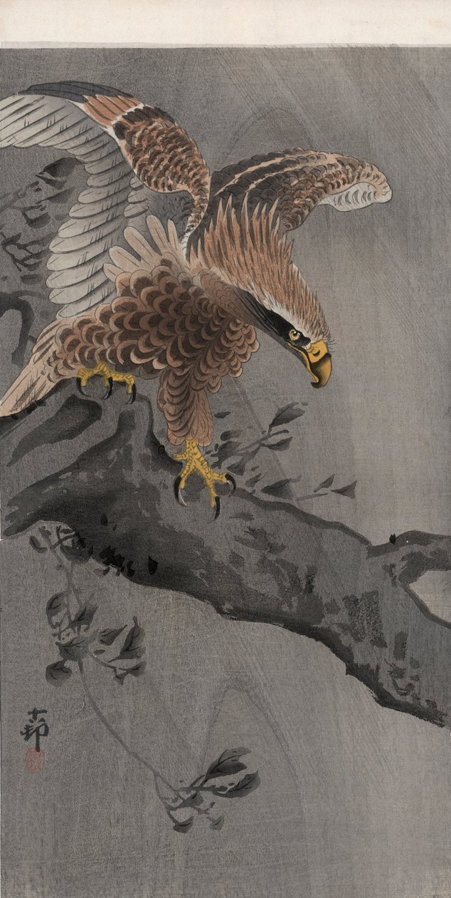 Sas széttárt szárnyakkal a fa törzsén (színes fatömbnyomat) alkotó: Ohara Koson