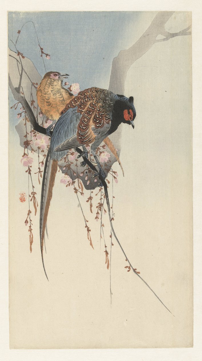 Fácánpár és szilvavirág alkotó: Ohara Koson