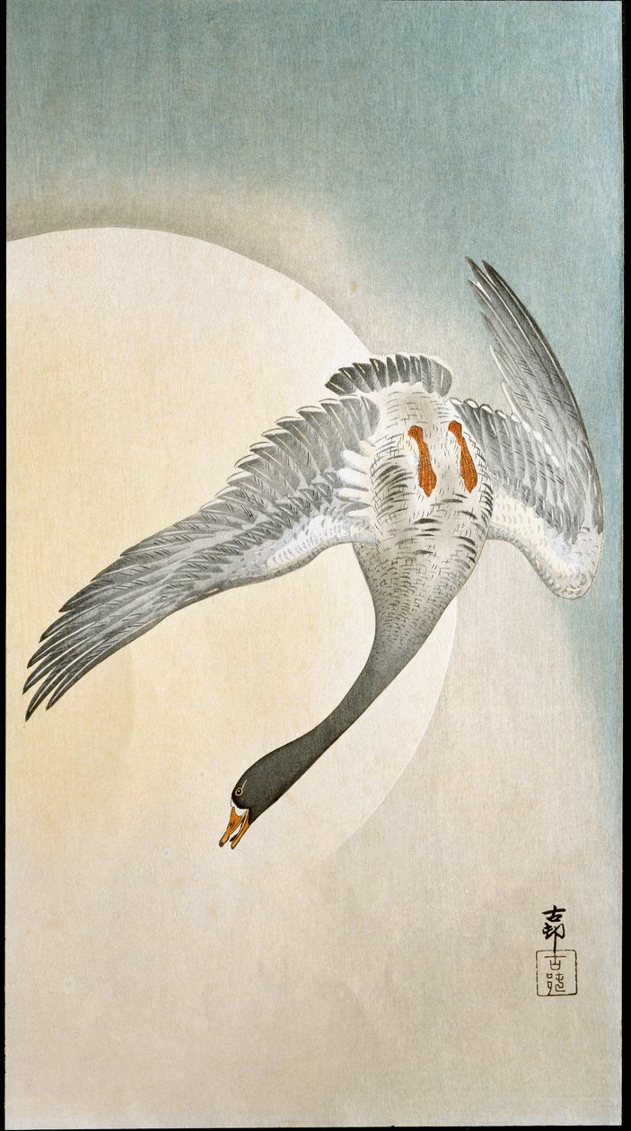 Kacsarepülés holdfényben Ohara Koson (1877-1945) xilográfiája és japán nyomatai 1908 Magángyűjtemény DR alkotó: Ohara Koson