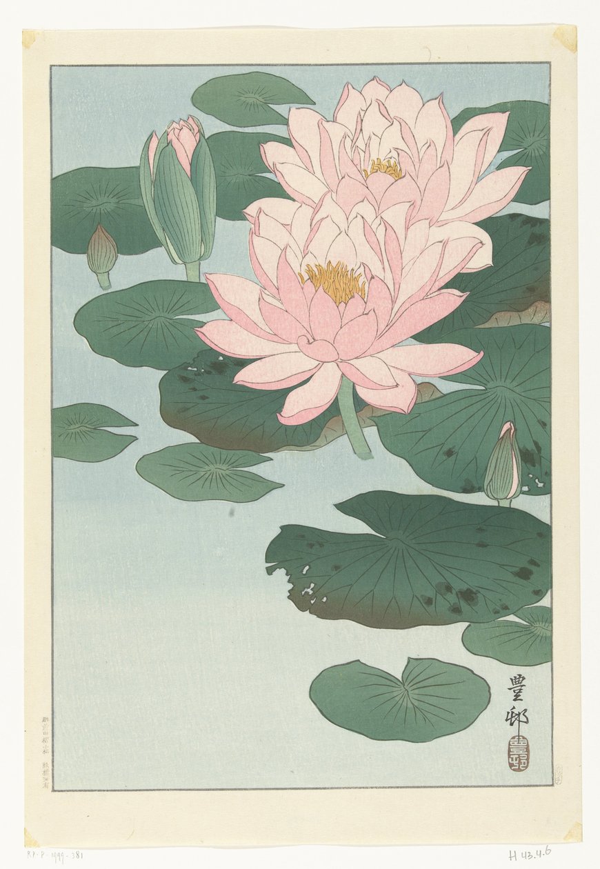 Virágzó tavirózsa alkotó: Ohara Koson