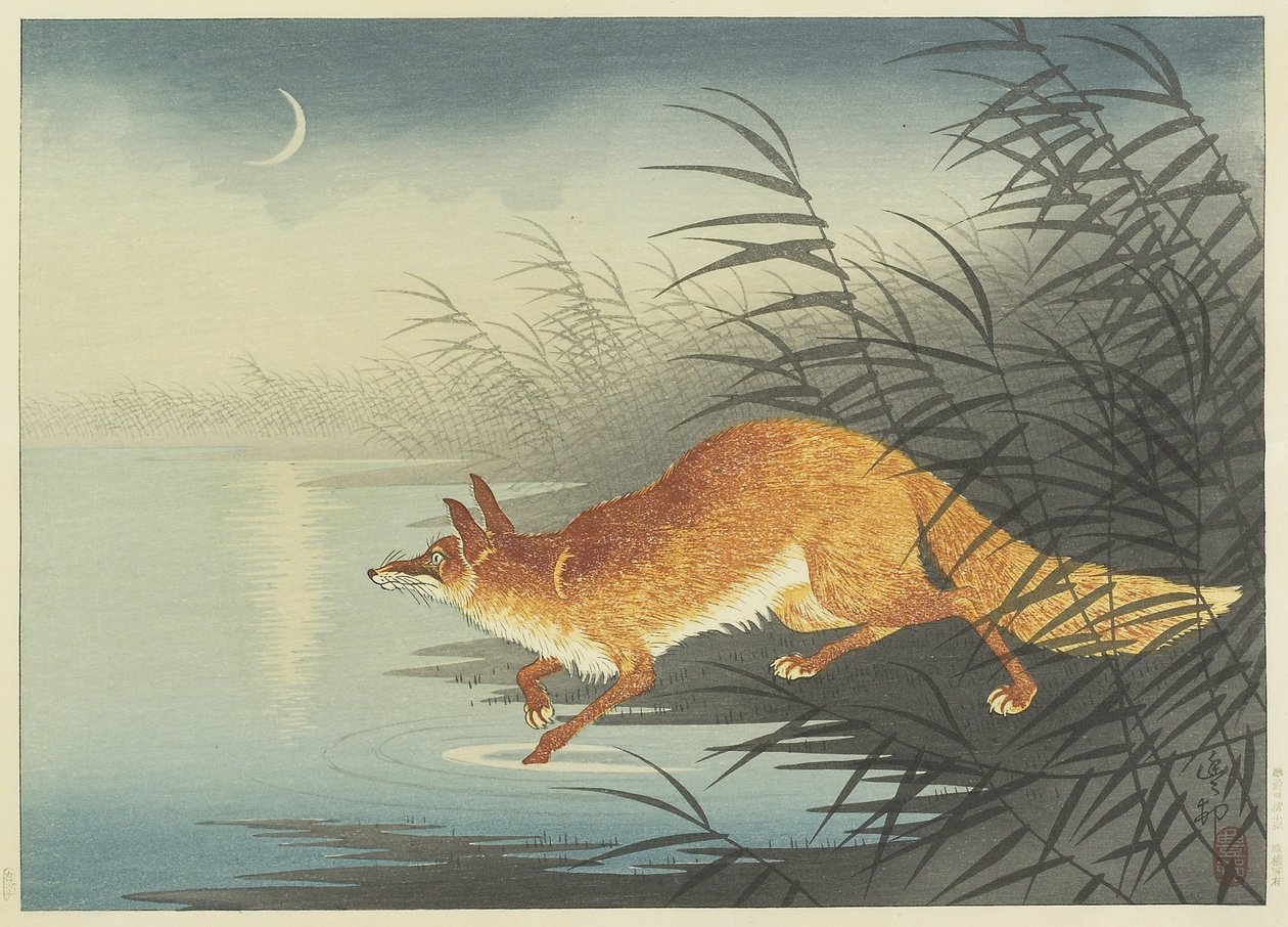 Fox by the Moonlit Water, 1930-as évek (színes fanyomat) alkotó: Ohara Koson