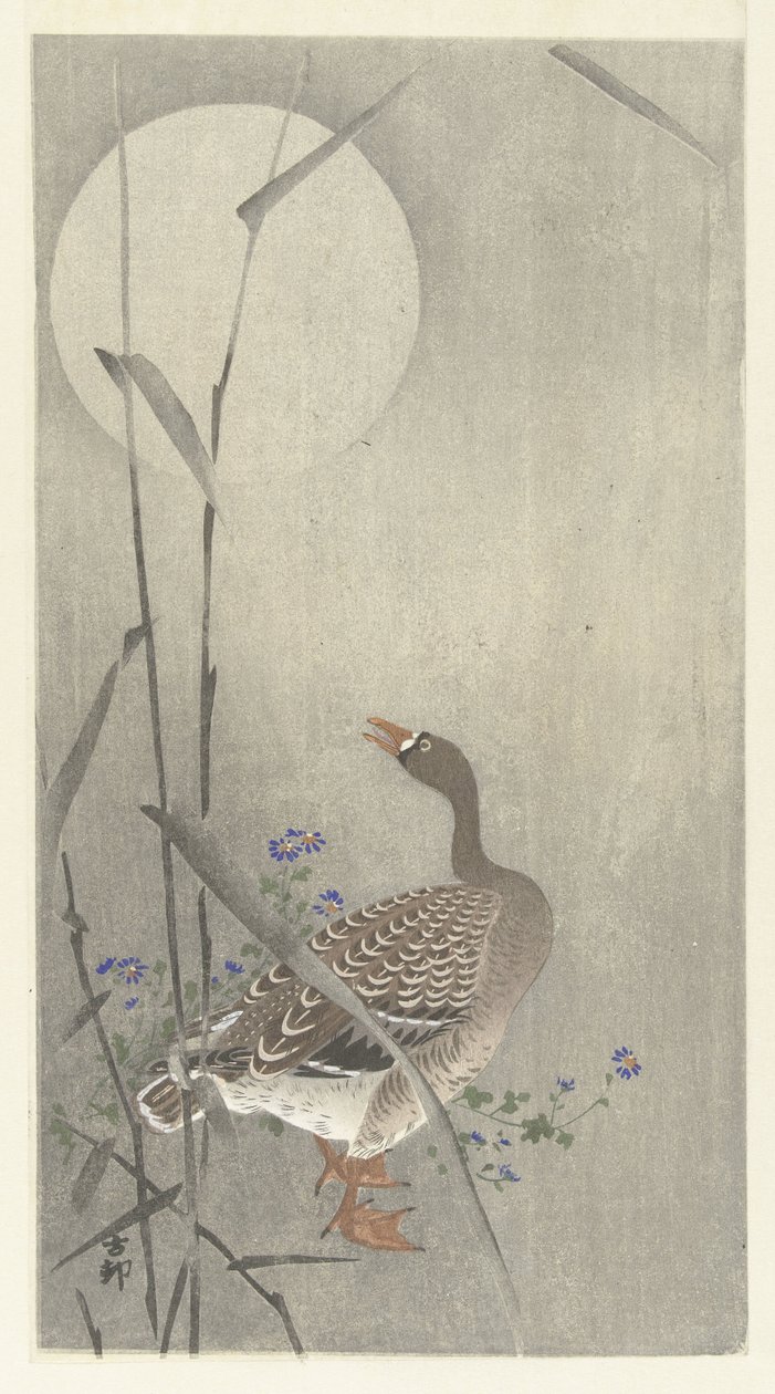 Liba teliholdkor alkotó: Ohara Koson