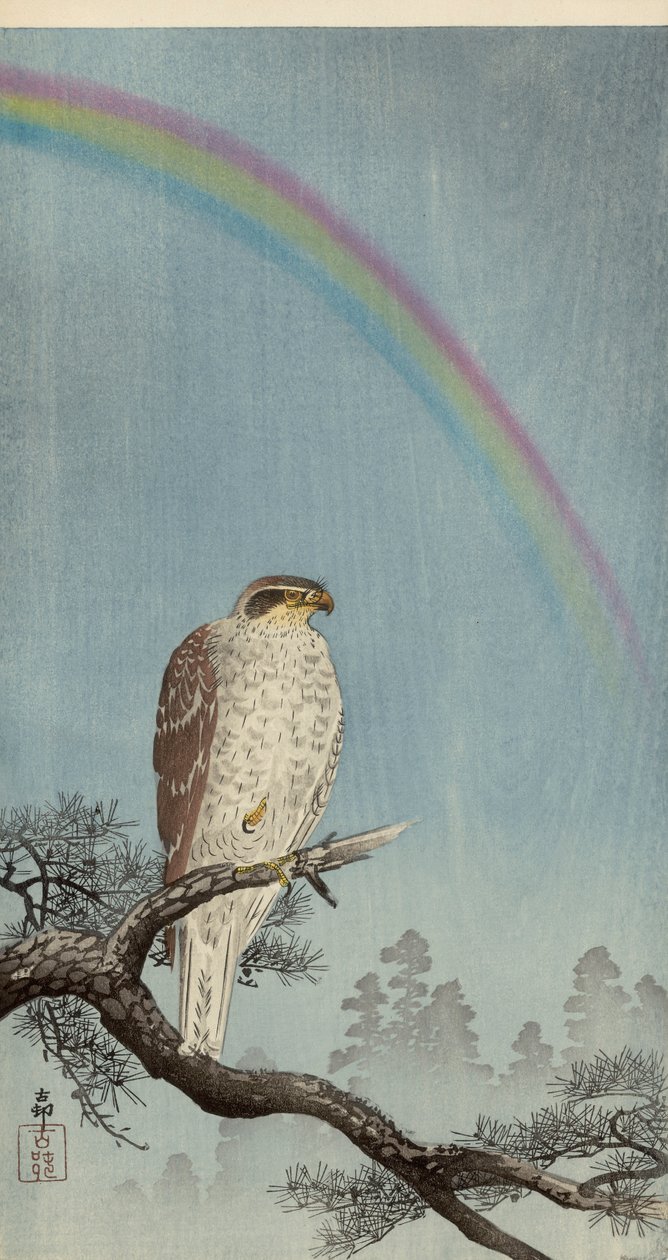Goshawk fenyőfán, felette szivárvány (színes fatömbnyomat) alkotó: Ohara Koson
